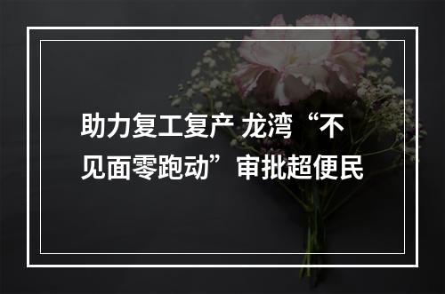 助力复工复产 龙湾“不见面零跑动”审批超便民
