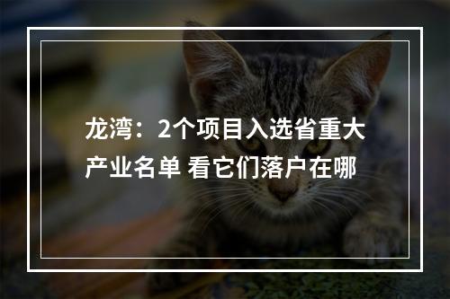 龙湾：2个项目入选省重大产业名单 看它们落户在哪