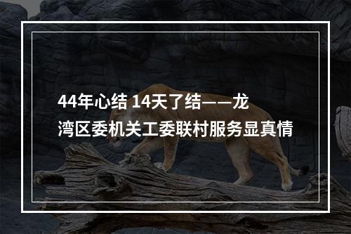 44年心结 14天了结——龙湾区委机关工委联村服务显真情