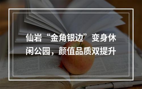 仙岩“金角银边”变身休闲公园，颜值品质双提升