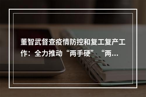 董智武督查疫情防控和复工复产工作：全力推动“两手硬”“两战赢”