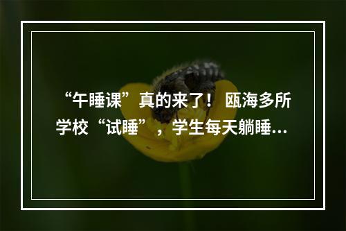 “午睡课”真的来了！ 瓯海多所学校“试睡”，学生每天躺睡30至50分钟
