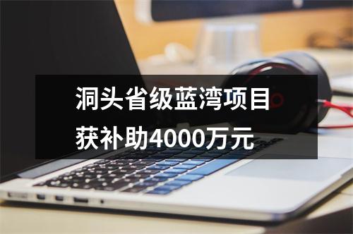 洞头省级蓝湾项目 获补助4000万元