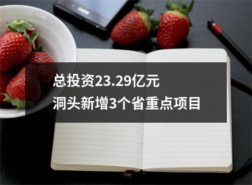 总投资23.29亿元  洞头新增3个省重点项目