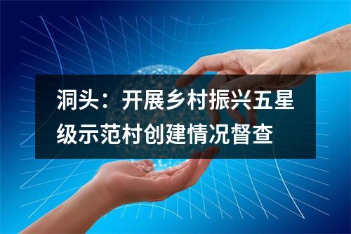 洞头：开展乡村振兴五星级示范村创建情况督查