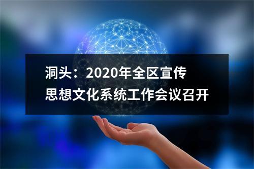 洞头：2020年全区宣传思想文化系统工作会议召开