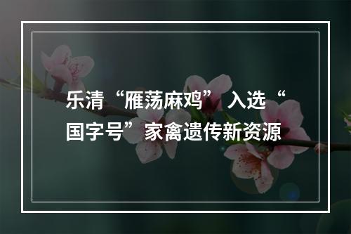 乐清“雁荡麻鸡” 入选“国字号”家禽遗传新资源
