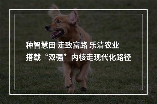 种智慧田 走致富路 乐清农业搭载“双强”内核走现代化路径
