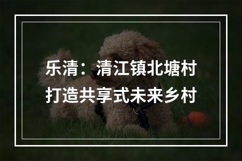 乐清：清江镇北塘村打造共享式未来乡村