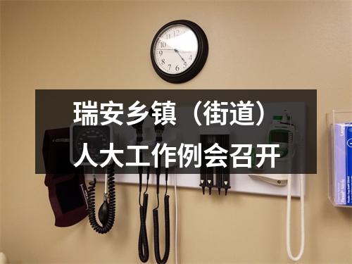 瑞安乡镇（街道）人大工作例会召开