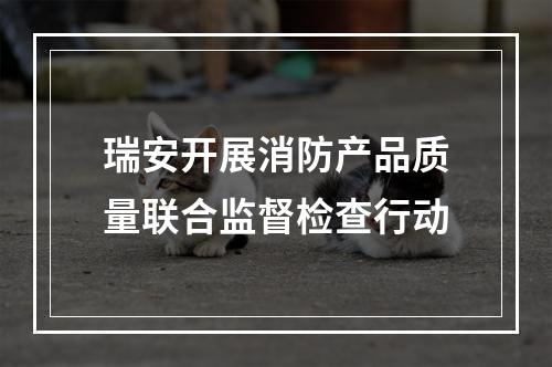 瑞安开展消防产品质量联合监督检查行动