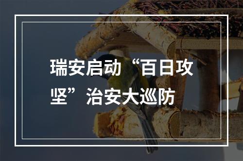 瑞安启动“百日攻坚”治安大巡防