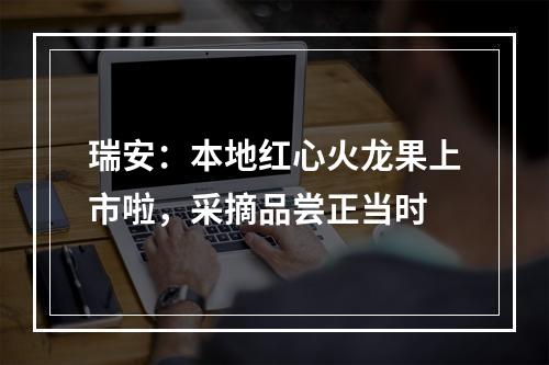 瑞安：本地红心火龙果上市啦，采摘品尝正当时
