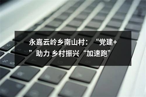 永嘉云岭乡南山村：“党建+”助力 乡村振兴“加速跑”