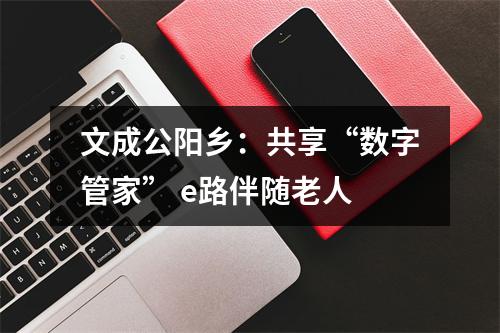 文成公阳乡：共享“数字管家” e路伴随老人