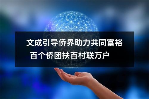 文成引导侨界助力共同富裕  百个侨团扶百村联万户
