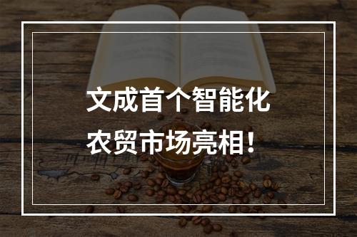 文成首个智能化农贸市场亮相！