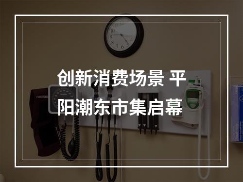 创新消费场景 平阳潮东市集启幕