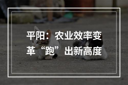 平阳：农业效率变革“跑”出新高度