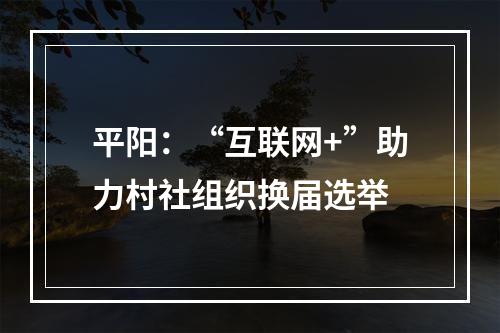 平阳：“互联网+”助力村社组织换届选举