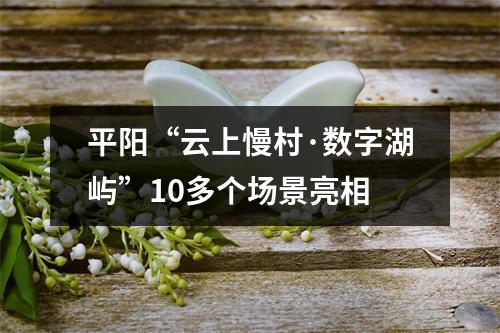 平阳“云上慢村·数字湖屿”10多个场景亮相