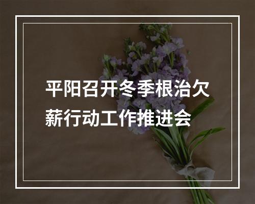 平阳召开冬季根治欠薪行动工作推进会
