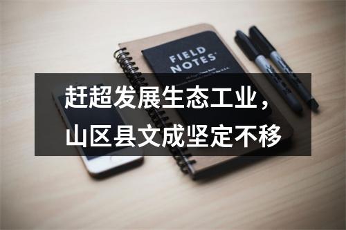 赶超发展生态工业，山区县文成坚定不移