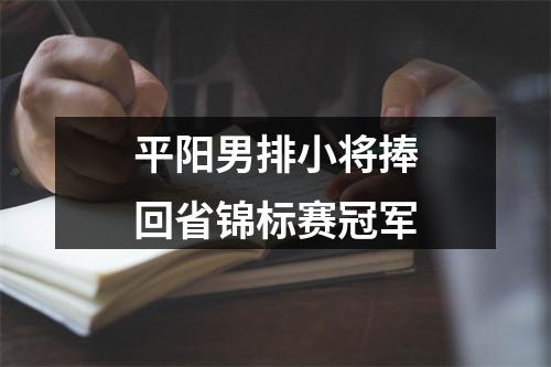 平阳男排小将捧回省锦标赛冠军