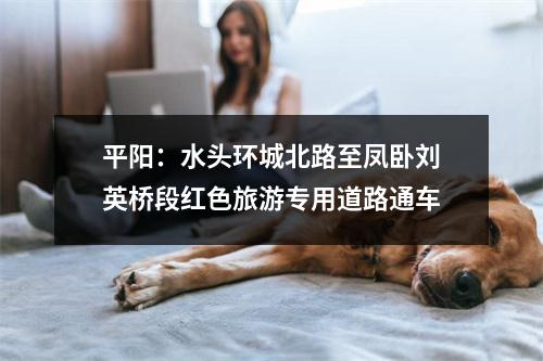 平阳：水头环城北路至凤卧刘英桥段红色旅游专用道路通车