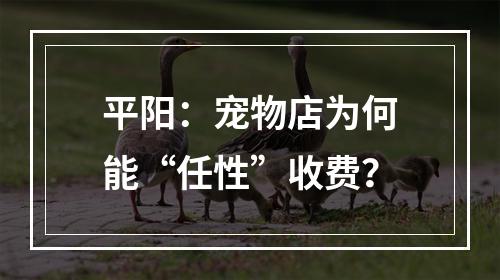 平阳：宠物店为何能“任性”收费？