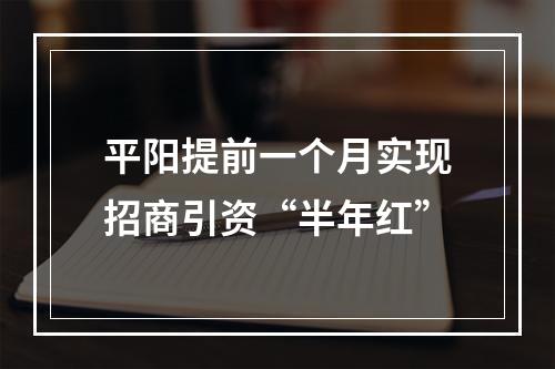 平阳提前一个月实现招商引资“半年红”