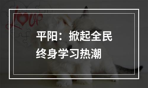 平阳：掀起全民终身学习热潮