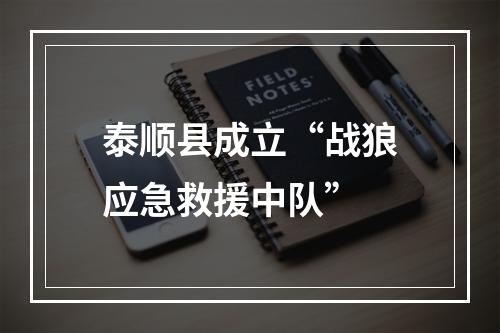泰顺县成立“战狼应急救援中队”