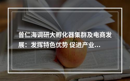 曾仁海调研大孵化器集群及电商发展：发挥特色优势 促进产业升级