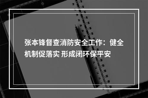 张本锋督查消防安全工作：健全机制促落实 形成闭环保平安