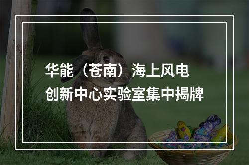 华能（苍南）海上风电 创新中心实验室集中揭牌
