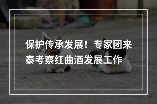 保护传承发展！专家团来泰考察红曲酒发展工作