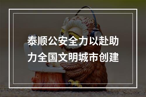 泰顺公安全力以赴助力全国文明城市创建