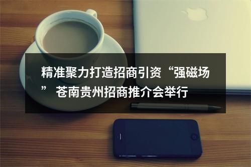 精准聚力打造招商引资“强磁场” 苍南贵州招商推介会举行