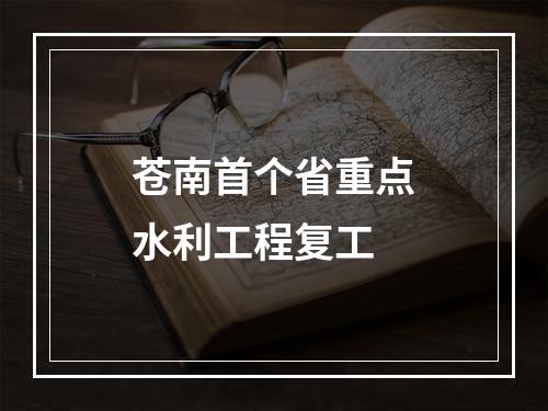 苍南首个省重点水利工程复工