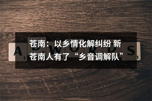 苍南：以乡情化解纠纷 新苍南人有了“乡音调解队”