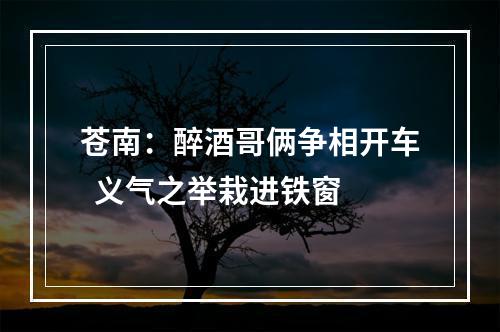 苍南：醉酒哥俩争相开车  义气之举栽进铁窗