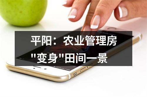 平阳：农业管理房