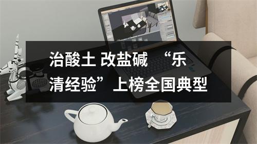 治酸土 改盐碱  “乐清经验”上榜全国典型