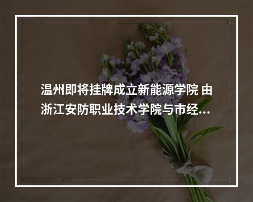 温州即将挂牌成立新能源学院 由浙江安防职业技术学院与市经信局共建