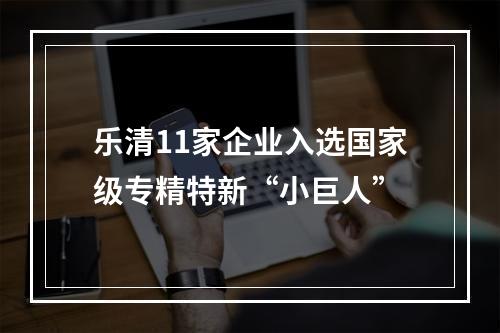乐清11家企业入选国家级专精特新“小巨人”