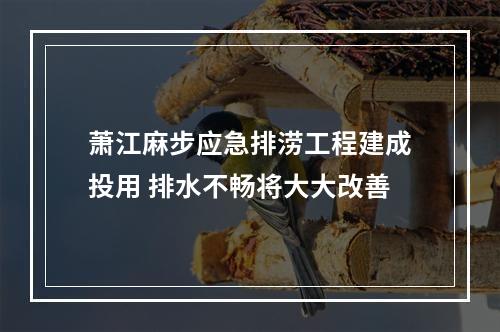 萧江麻步应急排涝工程建成投用 排水不畅将大大改善