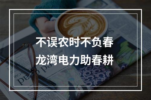 不误农时不负春 龙湾电力助春耕