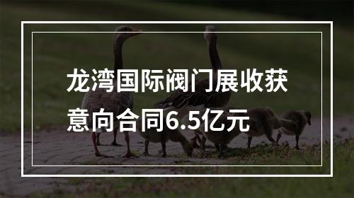 龙湾国际阀门展收获意向合同6.5亿元