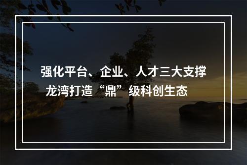 强化平台、企业、人才三大支撑  龙湾打造“鼎”级科创生态